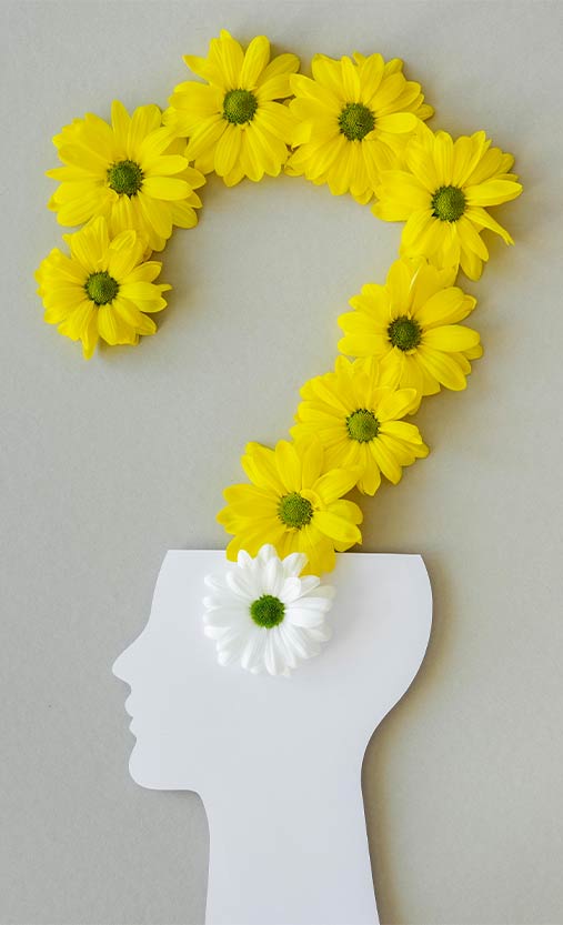 Relaxing Environment